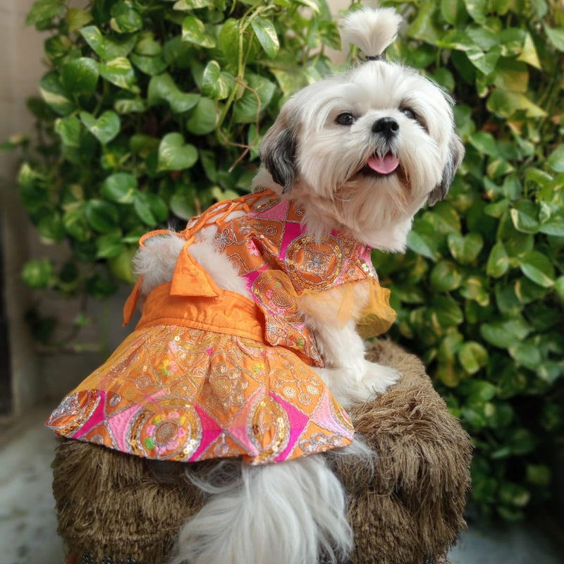 Festive Lehenga Choli Outfit For Dogs