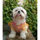 Festive Lehenga Choli Outfit For Dogs