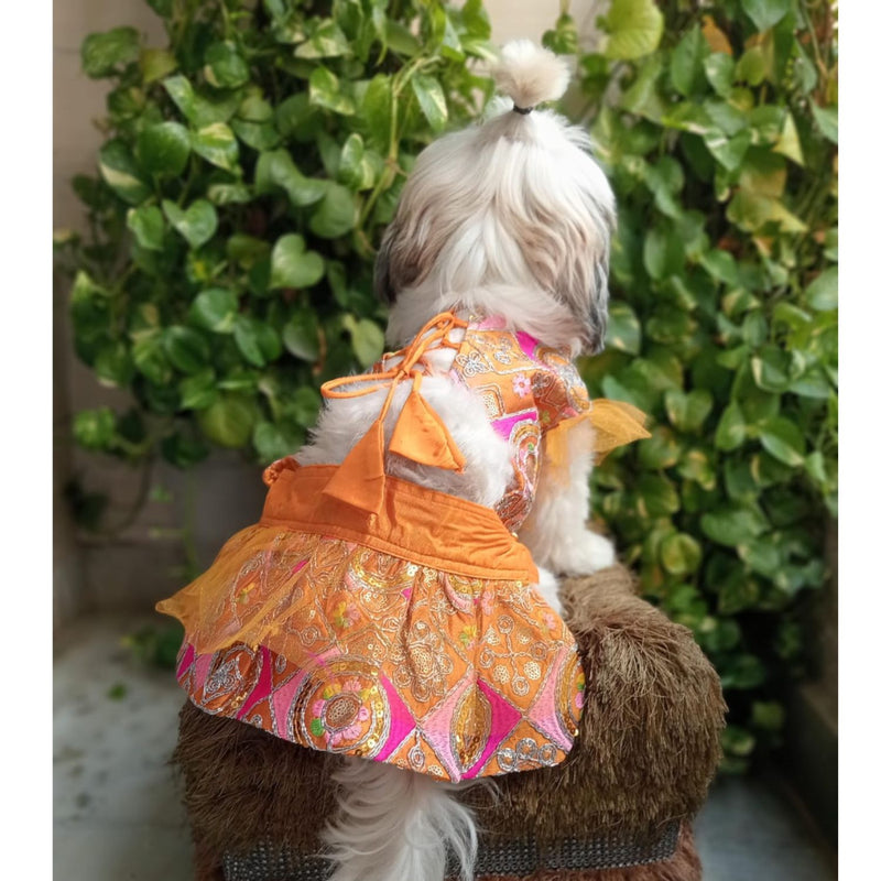 Festive Lehenga Choli Outfit For Dogs