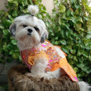 Festive Lehenga Choli Outfit For Dogs