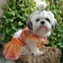 Festive Lehenga Choli Outfit For Dogs