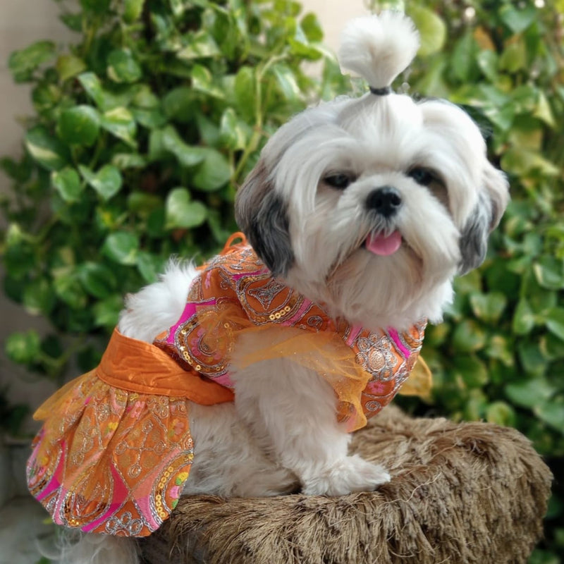 Festive Lehenga Choli Outfit For Dogs
