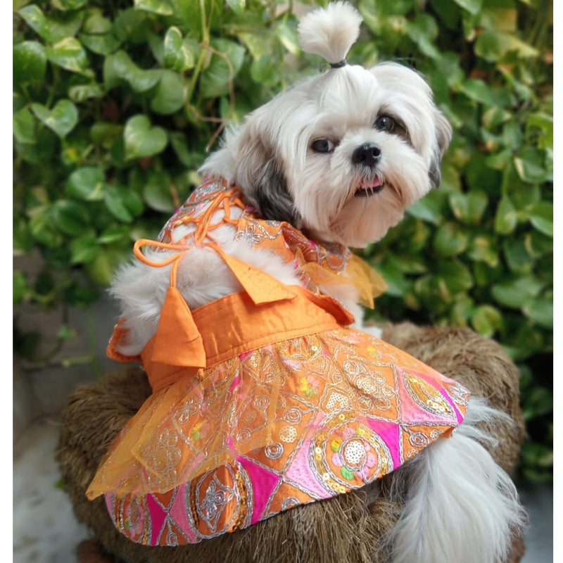 Festive Lehenga Choli Outfit For Dogs