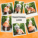 Festive Lehenga Choli Outfit For Dogs