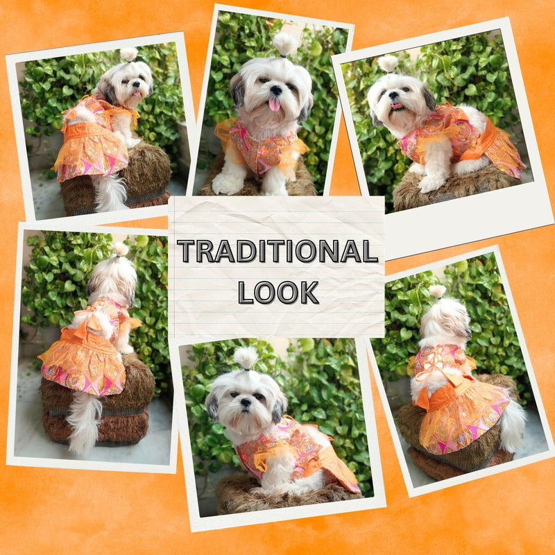 Festive Lehenga Choli Outfit For Dogs