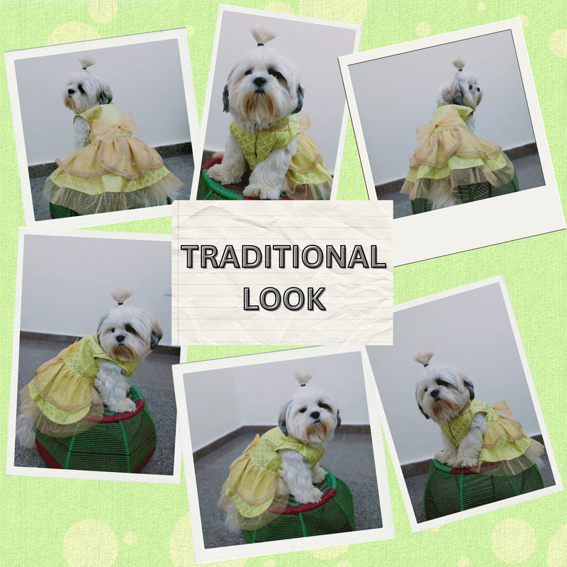 Traditional Ethnic Dresses for Dogs