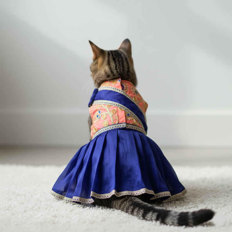 Pets Ethnic Wear for Festivals & Weddings