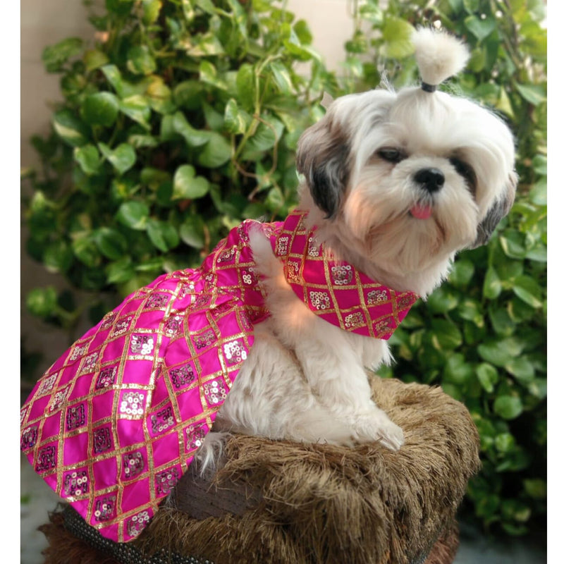 Ethnic Dress for Dogs
