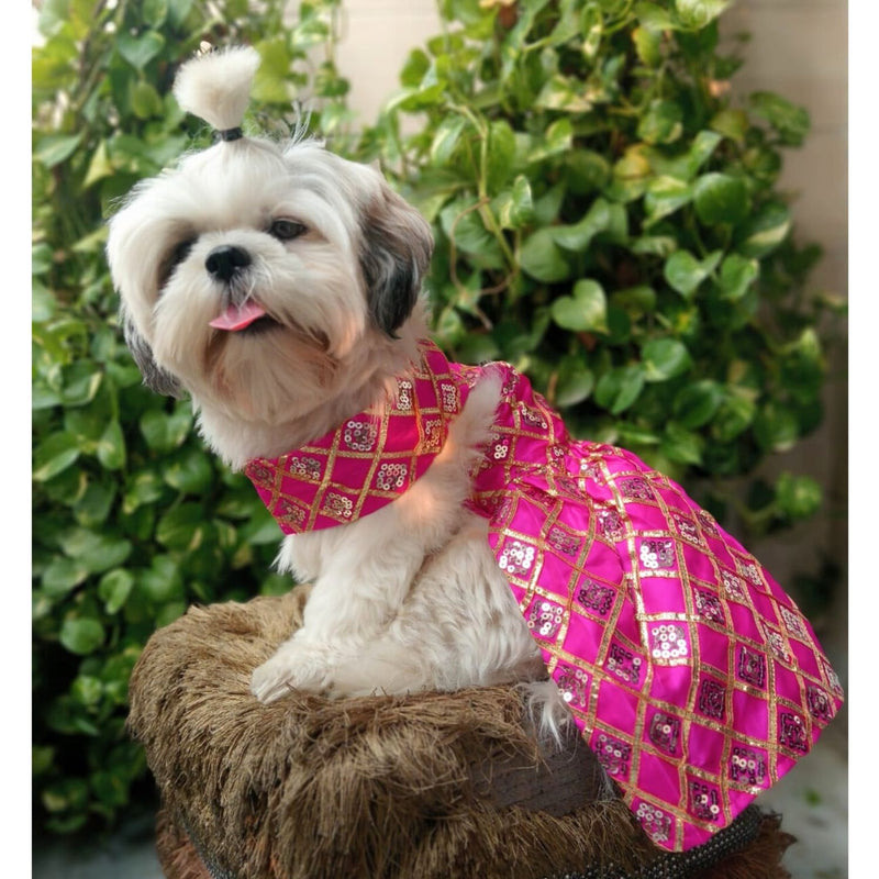 Ethnic Dress for Dogs