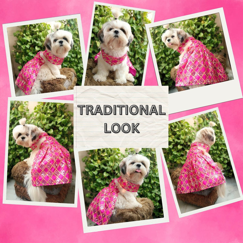 Ethnic Dress for Dogs