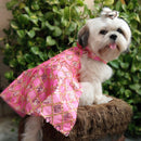 Ethnic Dress for Dogs