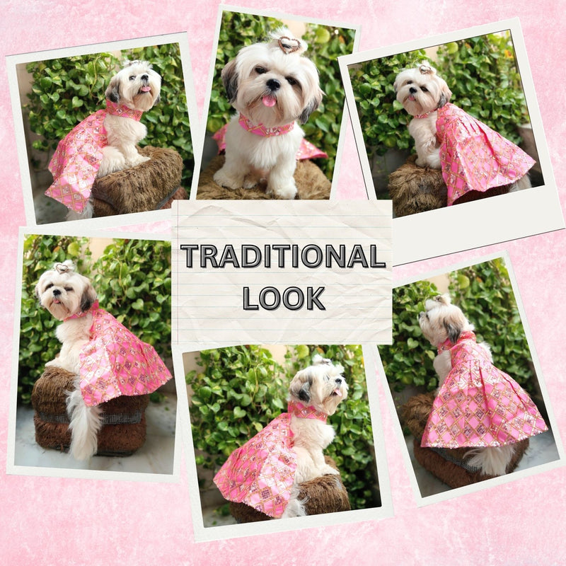 Ethnic Dress for Dogs