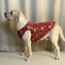 Festive Dog Sherwani in Dark Pink Velvet