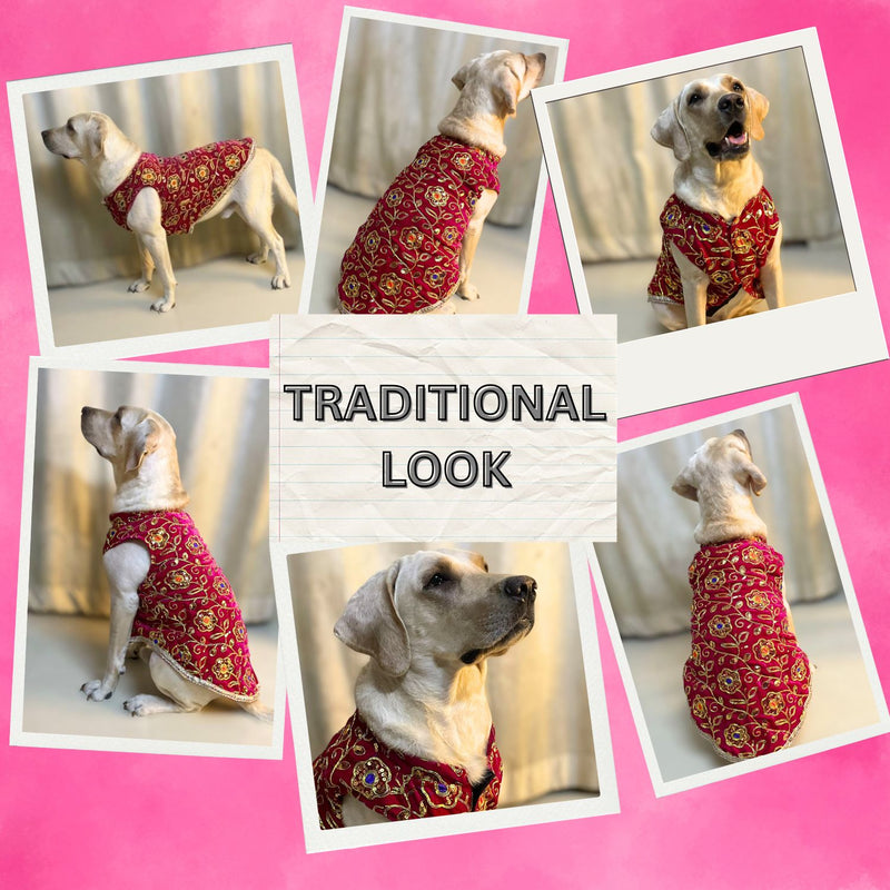 Festive Dog Sherwani in Dark Pink Velvet