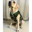 Festive Dog Sherwani for small & medium breeds