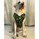 Festive Dog Sherwani for small & medium breeds