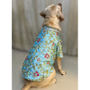 Dog Dress for Weddings & Festivals