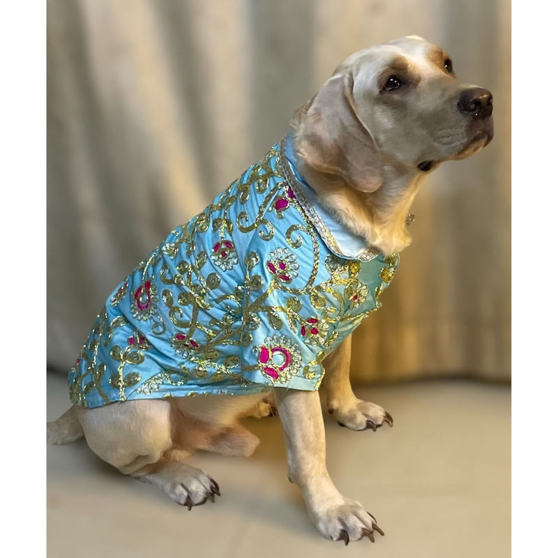 Dog Dress for Weddings & Festivals