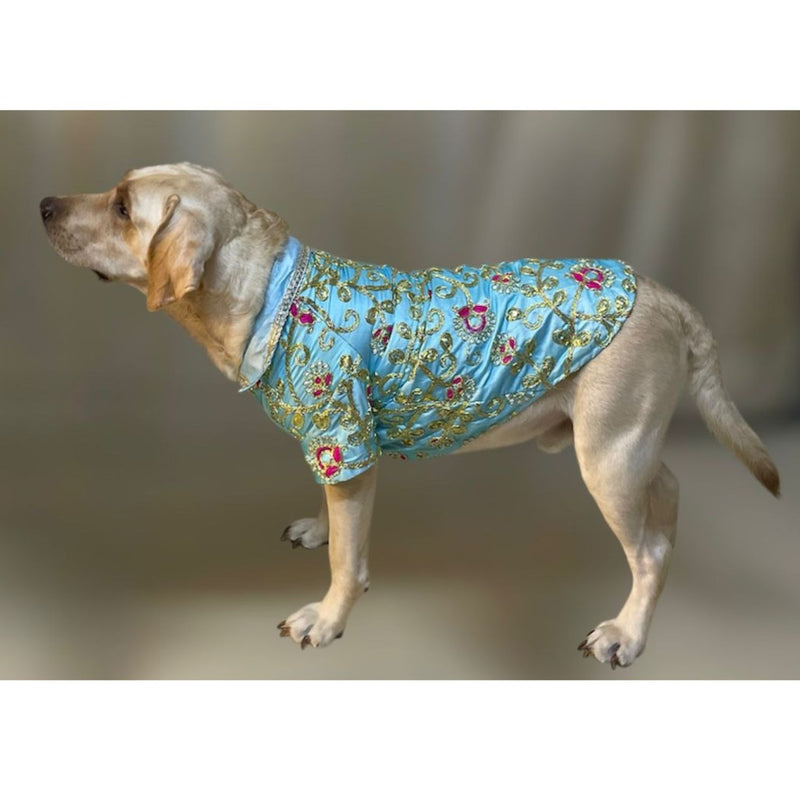 Dog Dress for Weddings & Festivals