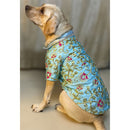 Dog Dress for Weddings & Festivals