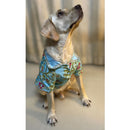 Dog Dress for Weddings & Festivals