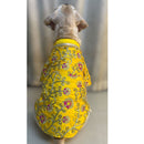 Traditional Dog Dress for Weddings & Festivals