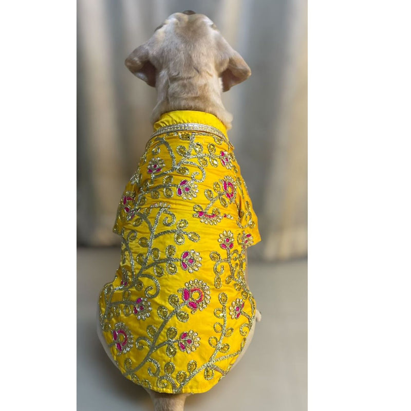 Traditional Dog Dress for Weddings & Festivals