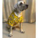 Traditional Dog Dress for Weddings & Festivals