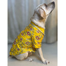 Traditional Dog Dress for Weddings & Festivals