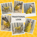 Traditional Dog Dress for Weddings & Festivals