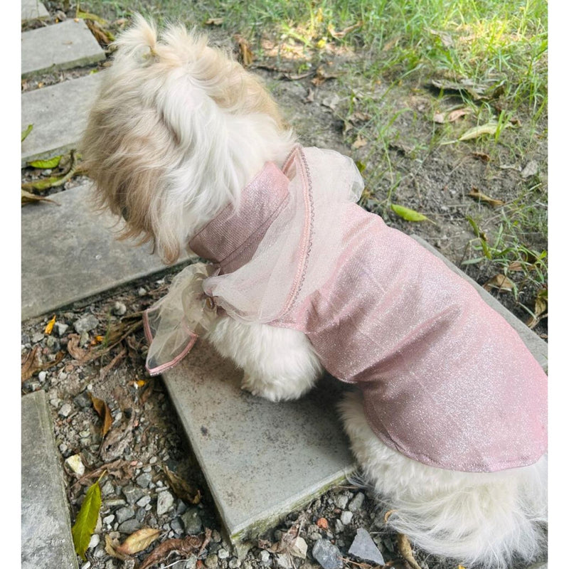 Ethnic Dog Dress for Small & Medium Breeds