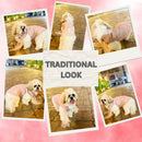 Ethnic Dog Dress for Small & Medium Breeds