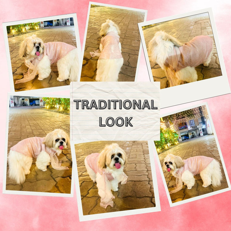 Ethnic Dog Dress for Small & Medium Breeds