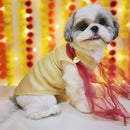 Dog Dress for Girls Dogs and Cats