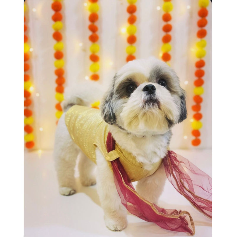 Dog Dress for Girls Dogs and Cats