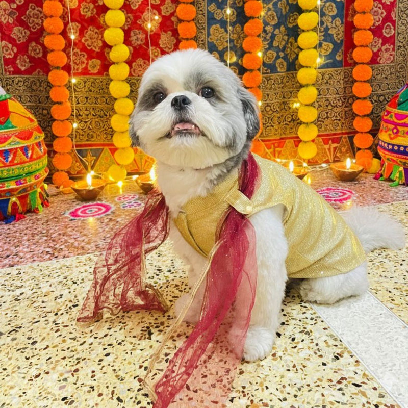 Dog Dress for Girls Dogs and Cats