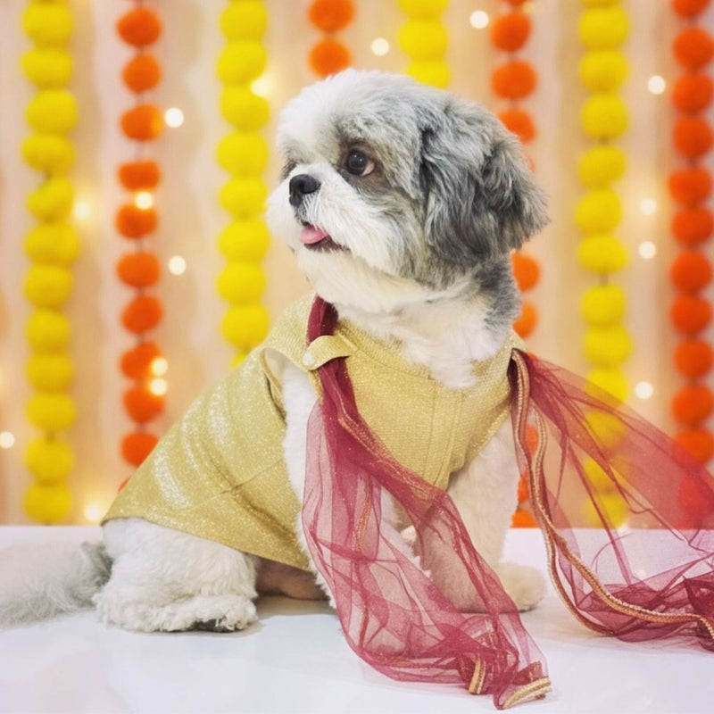 Dog Dress for Girls Dogs and Cats