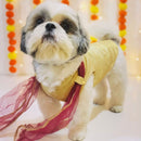 Dog Dress for Girls Dogs and Cats