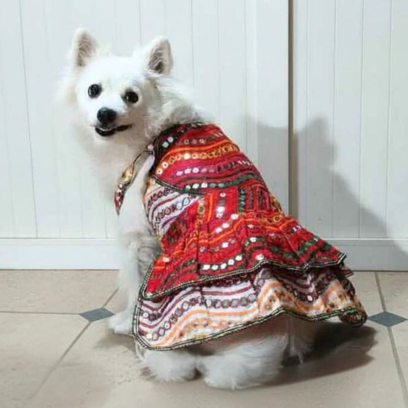 Festive Traditional Dog Dress for Small & Medium Breeds