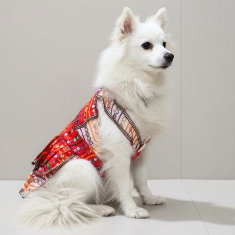 Festive Traditional Dog Dress for Small & Medium Breeds