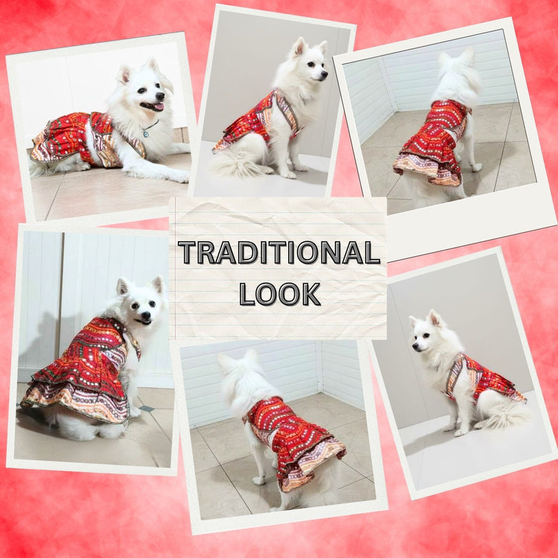 Festive Traditional Dog Dress for Small & Medium Breeds