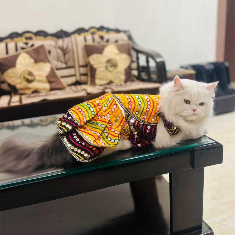 Traditional Dog Dress  for Small and Medium Breeds