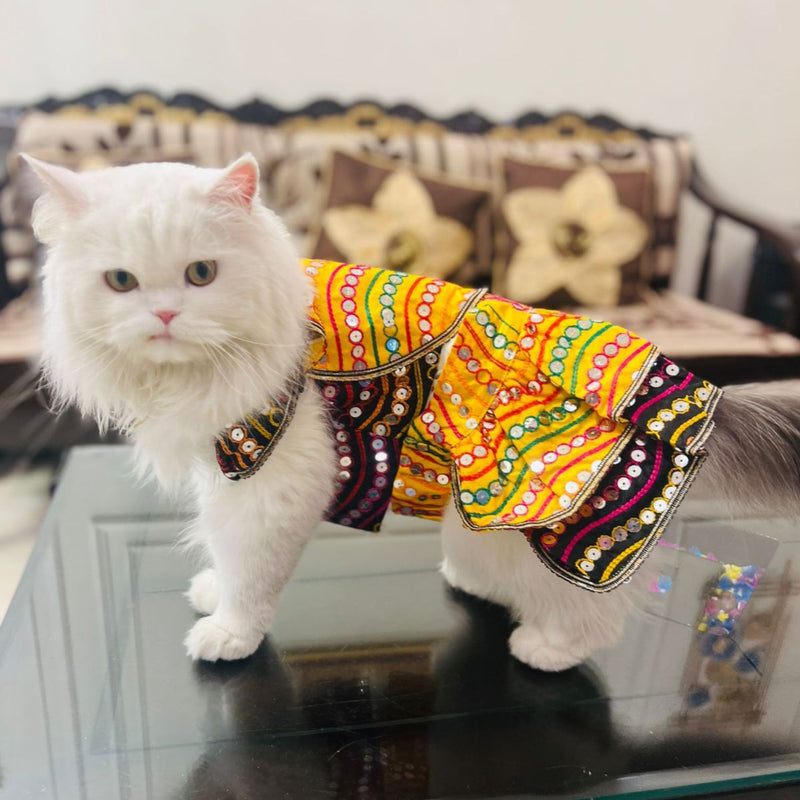 Traditional Dog Dress  for Small and Medium Breeds