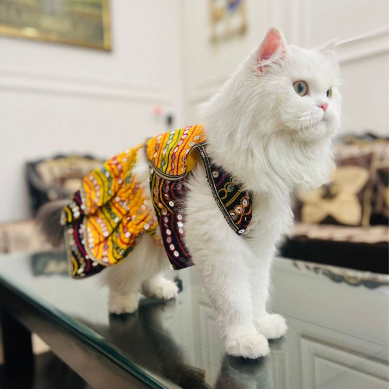 Traditional Dog Dress  for Small and Medium Breeds