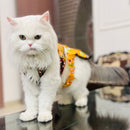 Traditional Dog Dress  for Small and Medium Breeds