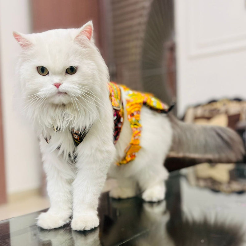 Traditional Dog Dress  for Small and Medium Breeds