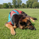 Ethnic Dog Kurta for Small, Medium & Large Dogs