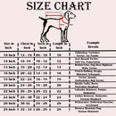 Ethnic Dog Kurta for Small, Medium & Large Dogs