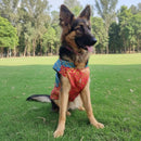 Ethnic Dog Kurta for Small, Medium & Large Dogs