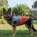 Ethnic Dog Kurta for Small, Medium & Large Dogs